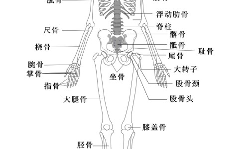 孕妇感冒了吃什么药-【孕妇感冒了吃点什么药好呢!】孕妇感冒咳嗽吃什么药 - 孕妇感冒了吃点什么网