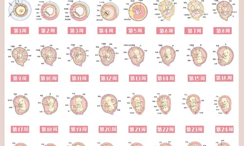 【孕妇感冒了吃点什么药好呢!】孕妇感冒咳嗽吃什么药 - 孕妇感冒了吃点什么网