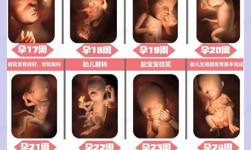 【孕妇感冒了吃点什么药好呢!】孕妇感冒咳嗽吃什么药 - 孕妇感冒了吃点什么网