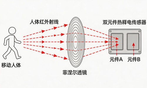 孕妇感冒了对胎儿有什么影响-【孕妇感冒了吃点什么药好呢!】孕妇感冒咳嗽吃什么药 - 孕妇感冒了吃点什么网